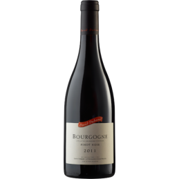 Bottiglia di Bourgogne Pinot Noir 2017 David Duband